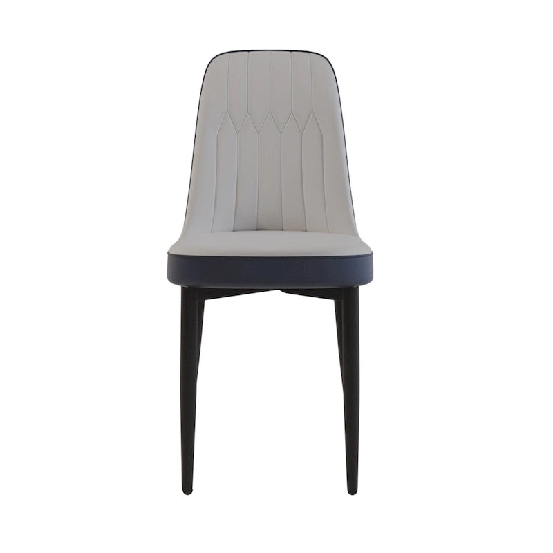 Set Of 4 Dining Chair with Metal Leg