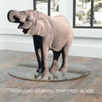 Round Tempered Glass Table Top Clear Glass Thick Round Polished Edge
