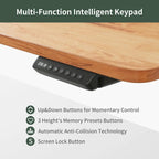 FEZIBO/Home Office Furniture/Wood/Desks