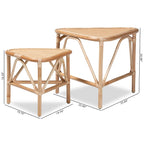 Jayden Bohemian Natural Brown Finished Rattan End Table Set(2PC)