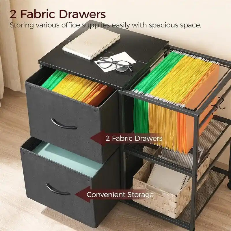 File Cabinet 2 Fabric Drawer Lateral Filing Cabinet fits A4 or Letter Size - 15.4D x 27.9W x 25.8H